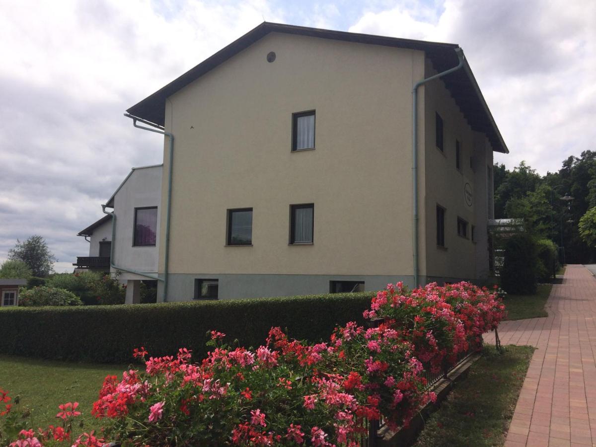לינה וארוחת בוקר באד טצמנסדורף Haus Camelia מראה חיצוני תמונה